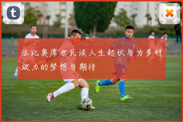 法比奥席尔瓦谈人生起伏与为多特效力的梦想与期待