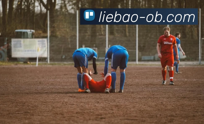 奖项证书